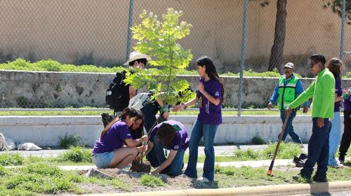 Impulsan reforestación y mejoramiento urbano en Saltillo