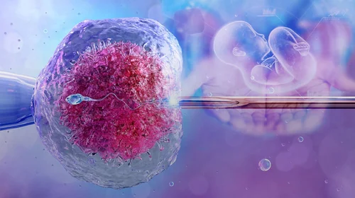 ¿Qué es la Fertilización In Vitro? ¡aquí te lo explicamos!