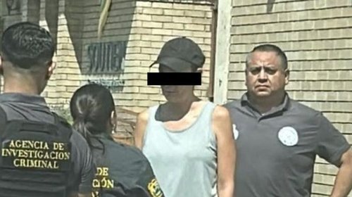 Crueldad animal va más allá del tema legal: penalista 