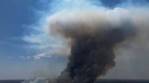 Bomberos combaten incendio en parque nacional de Brasilia