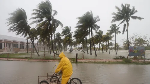 Residentes evacuan bahía de Tampa ante el posible impacto Milton
