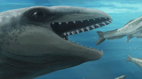 Científicos descubren una ballena antigua con cara de Pokémon