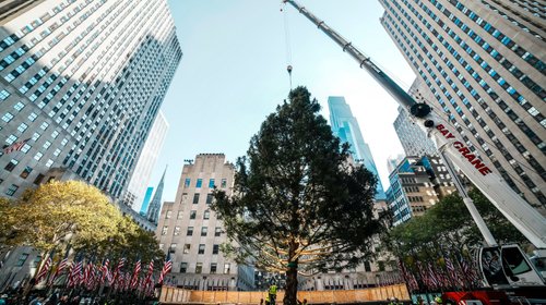Árbol de Navidad del Centro Rockefeller llega a Manhattan