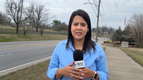 Liberan bajo fianza a reportera latina detenida por ICE