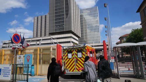 Paciente francesa con hantavirus está en estado crítico