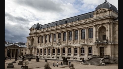 Roban seis kilos de oro en el Museo Nacional de Historia Natural