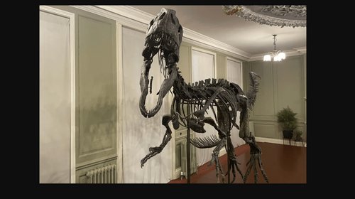 Exhiben fosil casi intacto que podría ser nueva especie