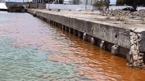 Denuncian escurrimientos contaminantes en Ciudad Madero