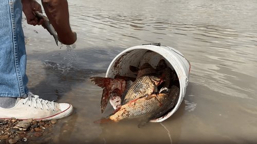 Exhortan a no ingresar al Río Bravo por fuerte corriente