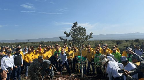 Coahuila planta mil árboles durante jornada nacional