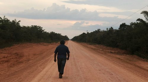 Brasil asfaltará carretera en la Amazonía; preocupa deforestación