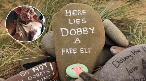 'Potterheads' frenan obra millonaria para proteger tumba de Dobby