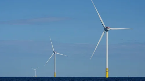 Demandan a Trump por bloquear desarrollo de energía eólica