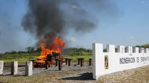 Destruyen droga asegurada en Reynosa durante operativo conjunto