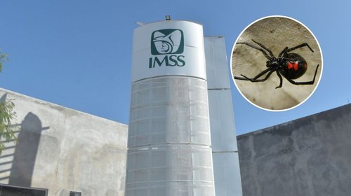 IMSS aclara que muerte de paciente no fue por falta de antídoto
