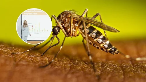 Alerta Secretaría de Salud sobre inicio de temporada de dengue