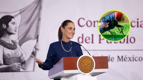 Arranca en Tamaulipas la ofensiva contra el gusano barrenador