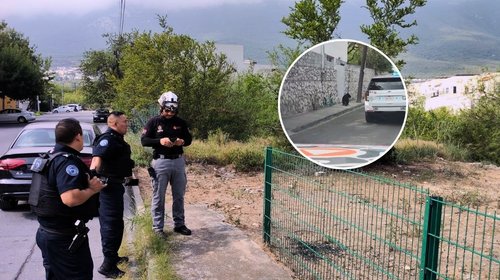 Sorprende oso a vecinos y automovilistas en San Pedro