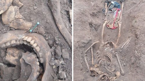 Macabro hallazgo: encuentran esqueleto en ejido de Reynosa