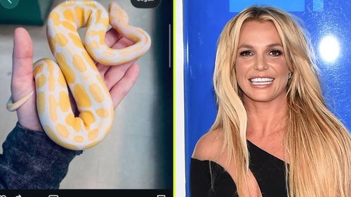 Britney Spears presume 'viaje espiritual' tras caso DUI