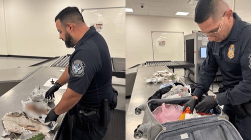 Descubren huesos humanos dentro de maleta en Florida