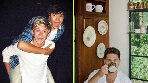 Niall Horan escribió una nueva canción sobre Liam Payne