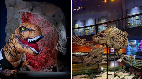 Museo del Desierto lanzará campaña nacional para atraer turism
