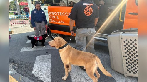 Asiste PC a bendecir binomios en parroquia San Francisco de Asís