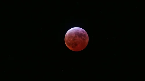 Disfrutan del eclipse lunar en observatorio de la UANL