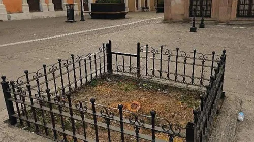 Dañan patrimonio histórico en Saltillo al talar árboles
