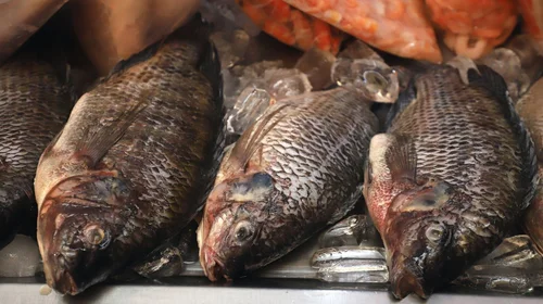 Supervisa Salud establecimientos de venta de mariscos