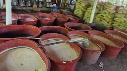 Inhabilitan laboratorio de metanfetamina en Chiapas