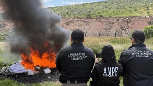 Incineran más de 90 kilos de droga en Michoacán
