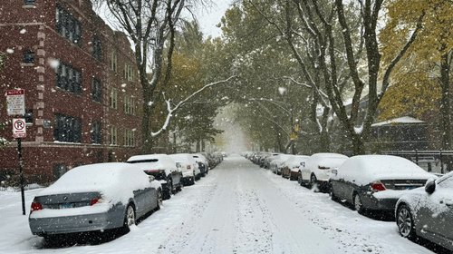 Frente polar provoca intensas nevadas en Estados Unidos