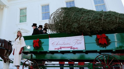 Melania Trump inspecciona árbol de Navidad para la Casa Blanca