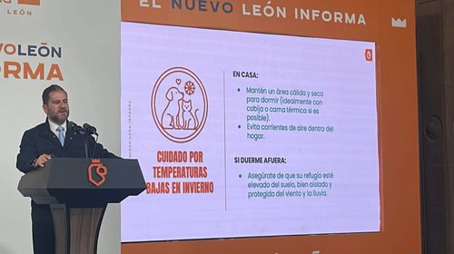 Pirotecnia afecta la salud de las mascotas: Medio Ambiente