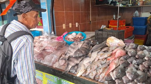Ventas de mariscos repuntan, pero escasez preocupa