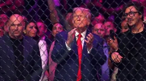 UFC organizará el primer evento de pelea en la Casa Blanca