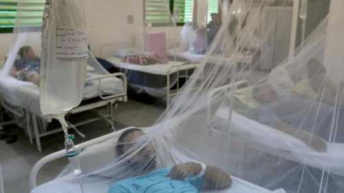 Suman 33 muertos por chikungunya y dengue en Cuba