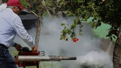 Disminuyen casos de dengue en el sur de Tamaulipas