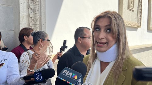 Cuestiona pendientes en seguridad y recortes a medio ambiente
