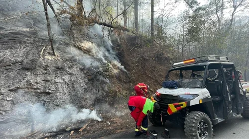 Controlan incendio forestal en El Manzano, en Santiago