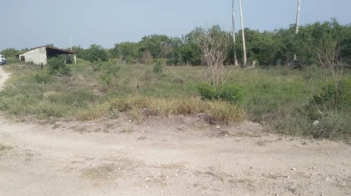 Hallan restos óseos en terreno de Río Bravo, Tamaulipas
