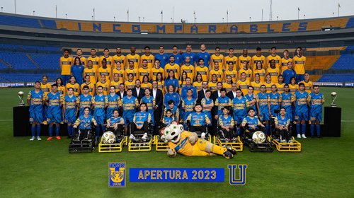 Los Tigres pelean por el título en todas las categorías