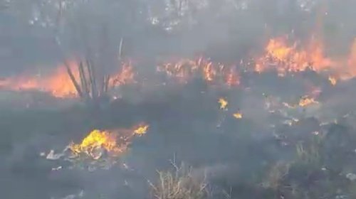 Bomberos sofocan incendio en Cerro de la Silla