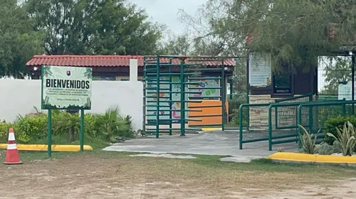 Continúa búsqueda de tigre que escapó en Reynosa 