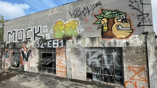 Incrementa grafiti en tres municipios de Nuevo León