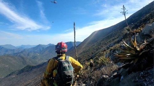Liquidan incendio forestal en Zaragoza; consumió 120 hectáreas