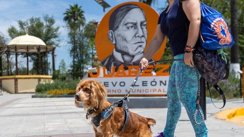 'Dejando Huella' llevará vacunas y adopciones caninas a Juárez