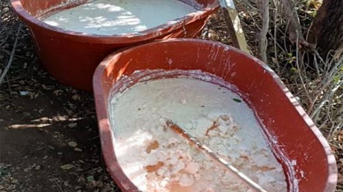 Inhabilitan laboratorio clandestino en Baja California